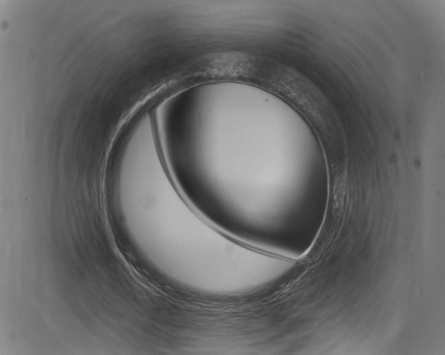 X0000081340722200701111027