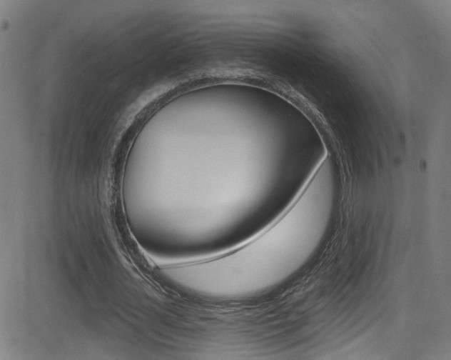 X0000081340724200701111027