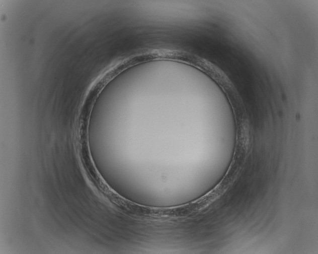 X0000081340730200701111028