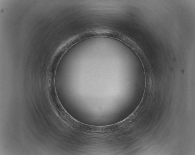X0000081340732200701111028