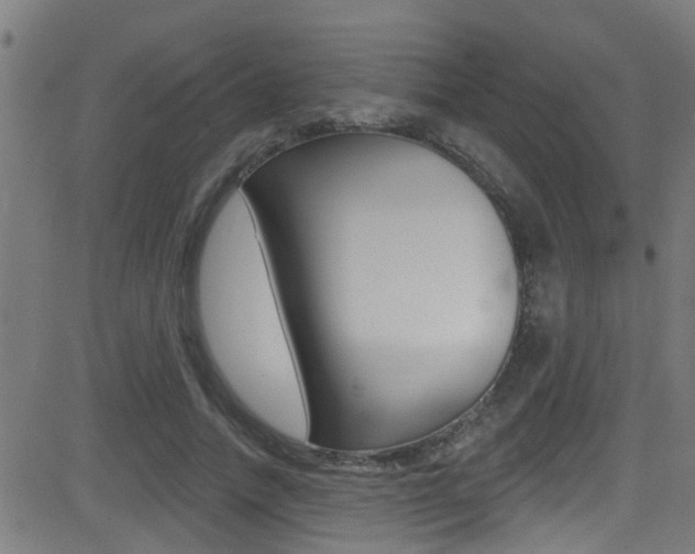 X0000081340738200701111028