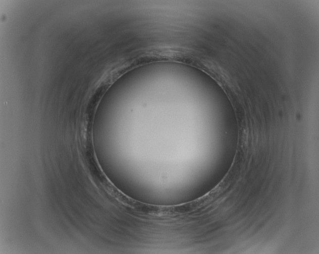 X0000081340739200701111028