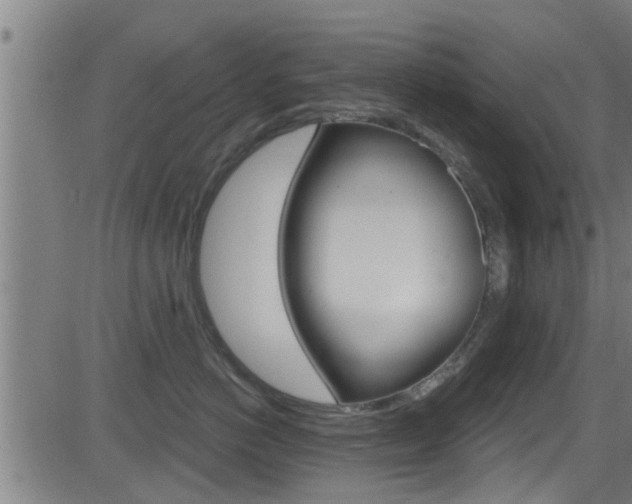 X0000081340766200701111028
