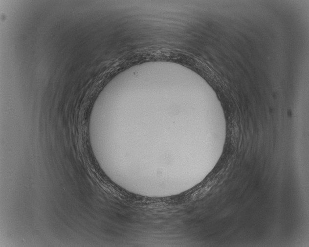 X0000081340769200701111027
