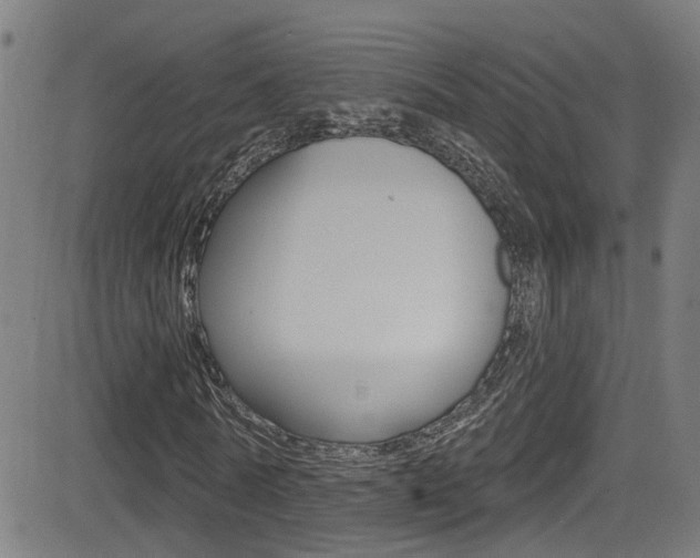 X0000081340770200701111027