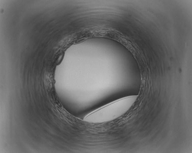 X0000081340772200701111027