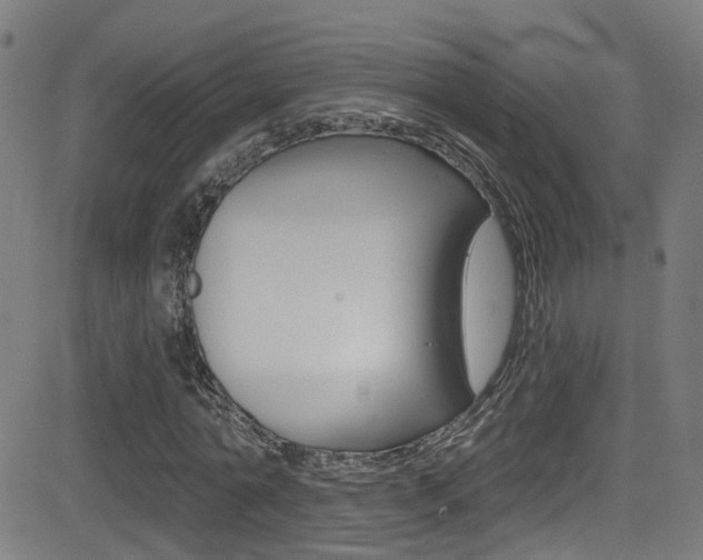 X0000081340774200701111027