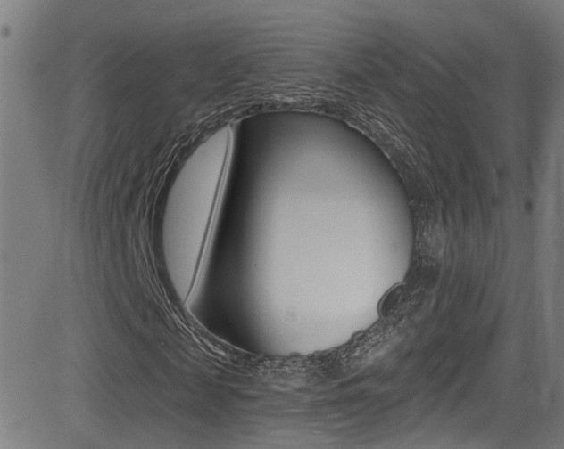 X0000081340817200701111026