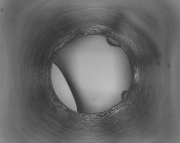 X0000081340819200701111026