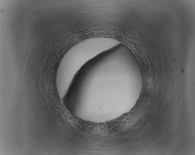 X0000081340865200701111026