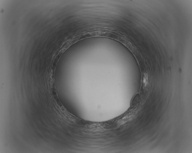 X0000081340867200701111026