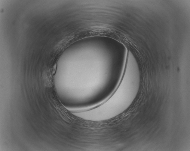 X0000081340868200701111026