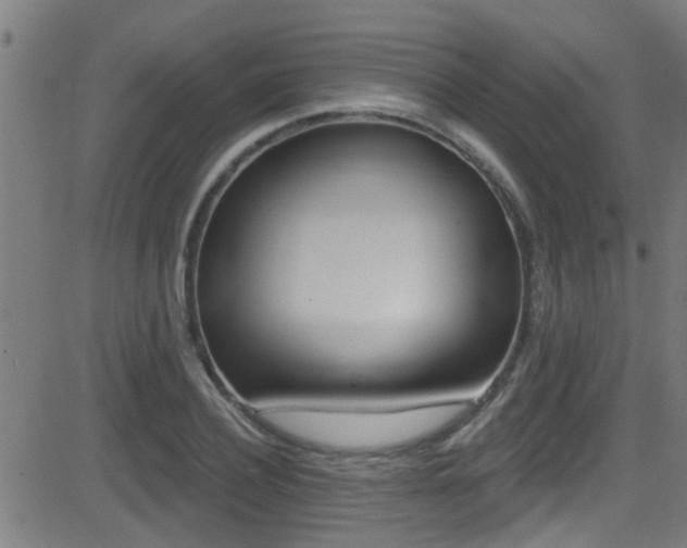 X0000081340932200701111025