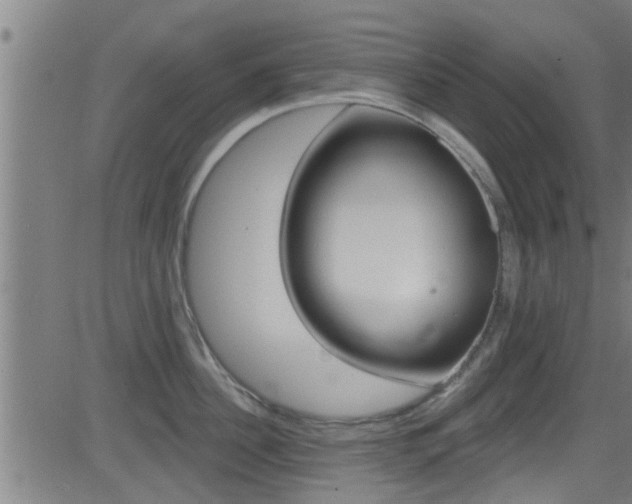 X0000081340956200701111025