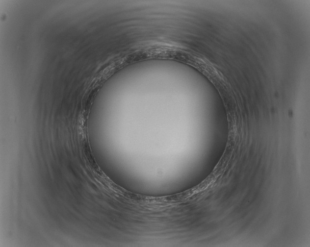 X0000081340964200701111024