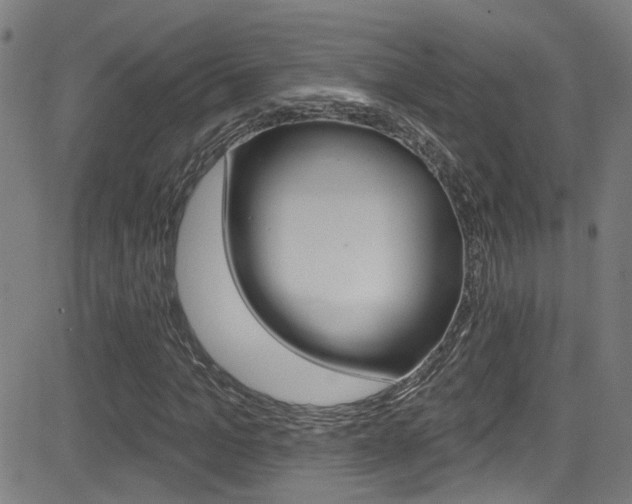 X0000081340965200701111024