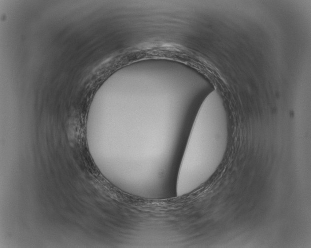 X0000081340966200701111024