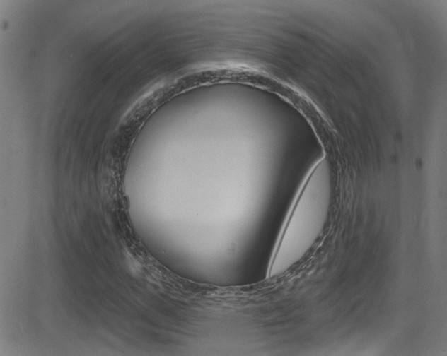 X0000081340967200701111024