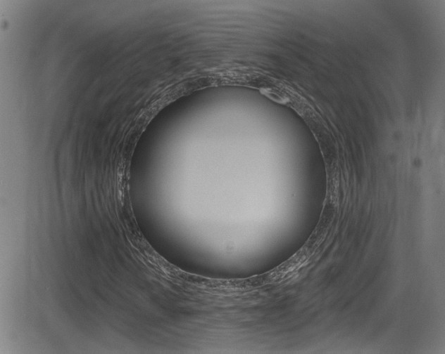 X0000081341010200701111023