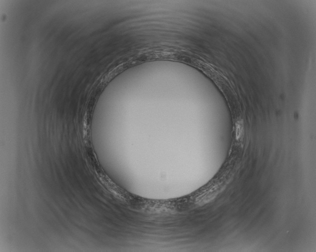 X0000081341011200701111023
