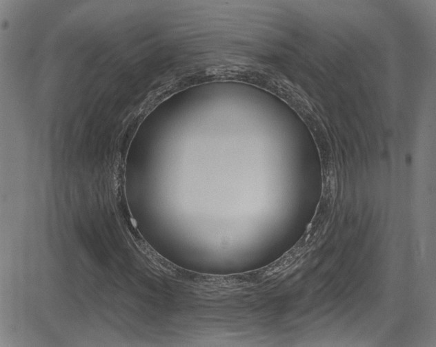 X0000081341012200701111023