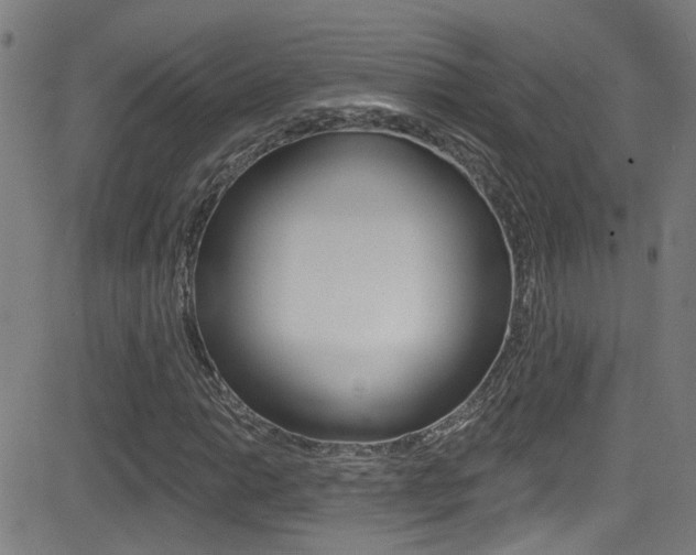 X0000081341014200701111023