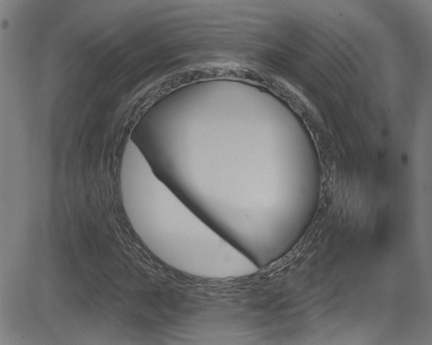 X0000081341015200701111023