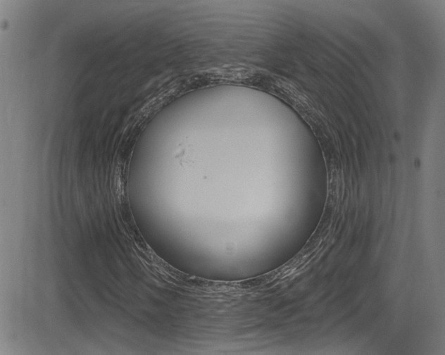 X0000081341058200701111023