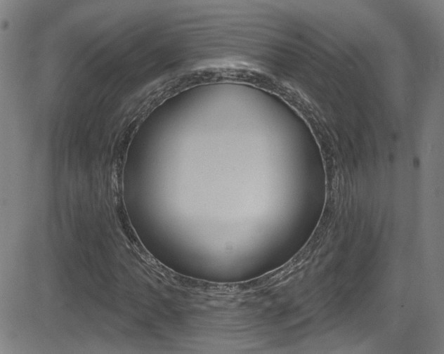 X0000081341062200701111023