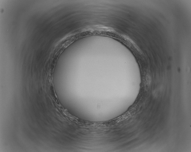 X0000081341063200701111023