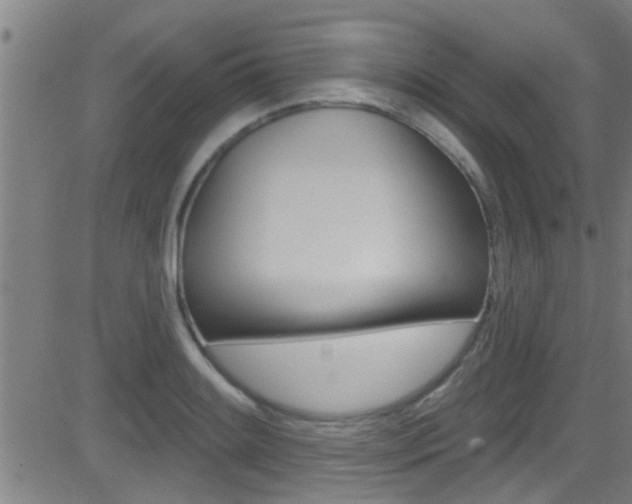 X0000081341084200701111022