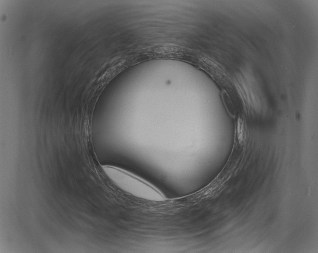 X0000081341107200701111021