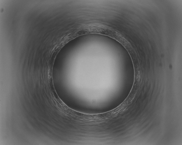 X0000081341108200701111021