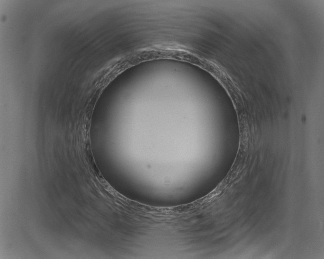 X0000081341110200701111021