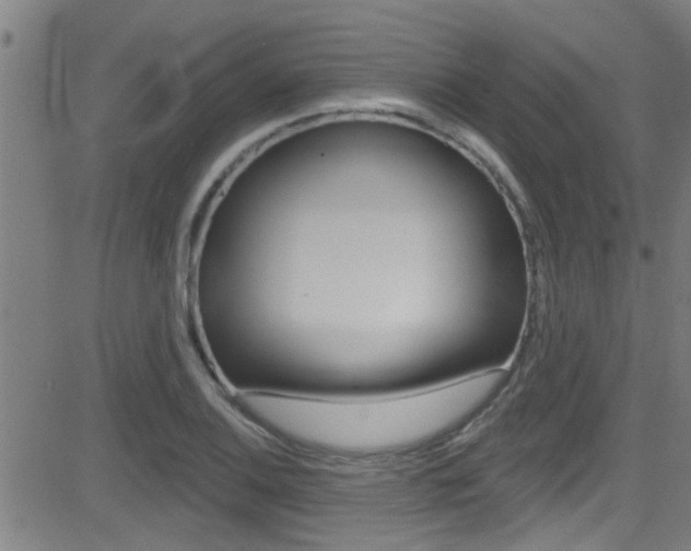 X0000081341124200701111021