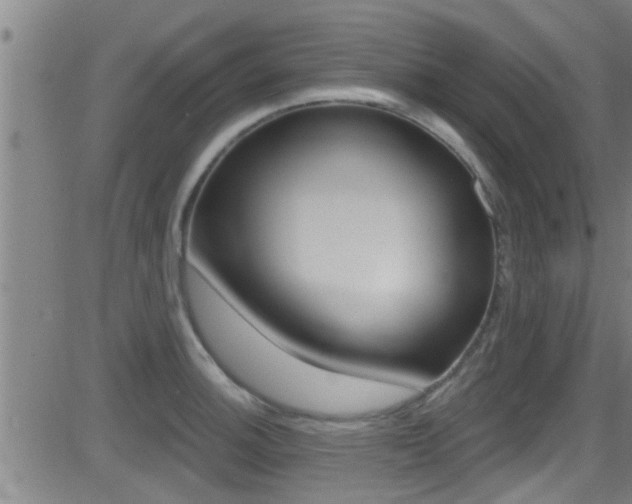 X0000081341140200701111022