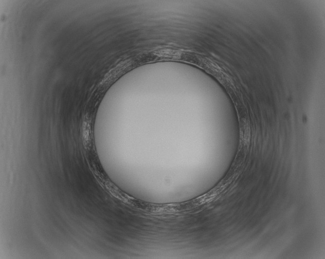 X0000081341154200701111021