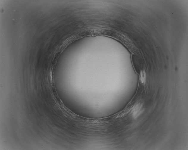 X0000081341155200701111021