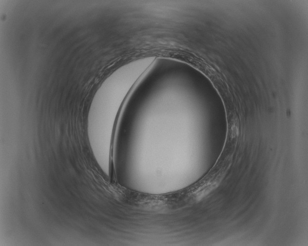 X0000081341156200701111021
