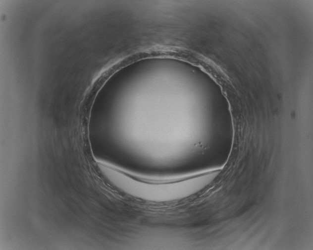 X0000081341160200701111021