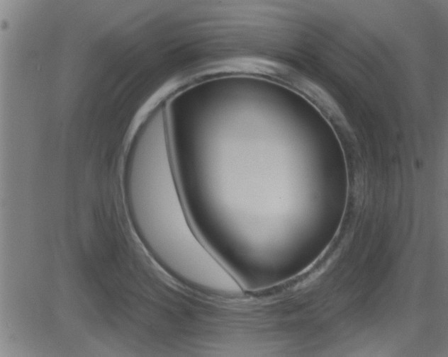 X0000081341180200701111021