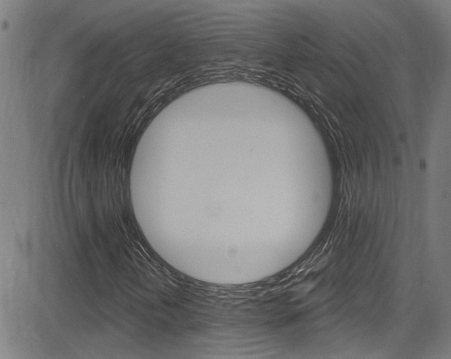 X0000081341202200701111020