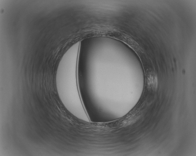 X0000081341204200701111020