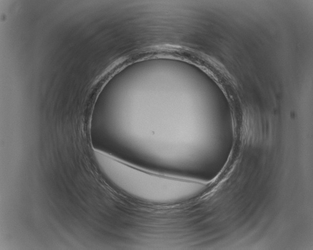X0000081341209200701111020