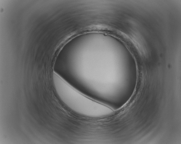 X0000081341217200701111020