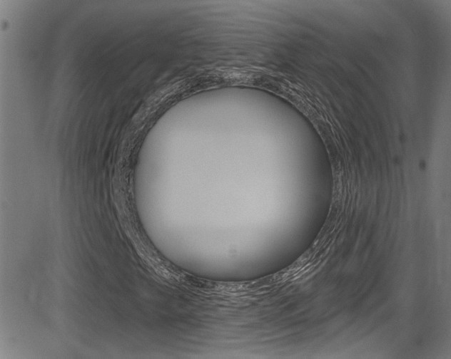 X0000081341249200701111019