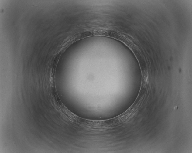 X0000081341252200701111019