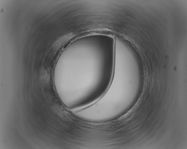 X0000081341257200701111019
