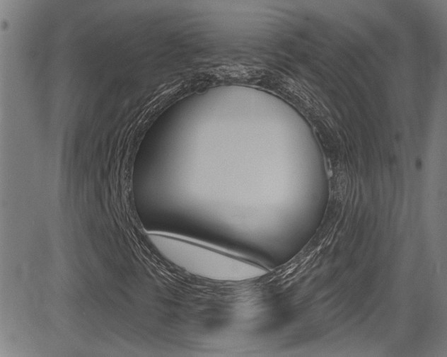 X0000081341297200701111018
