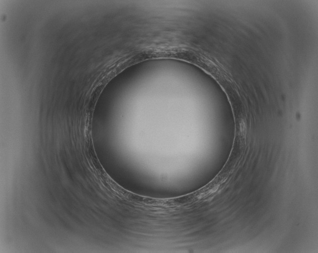 X0000081341300200701111018